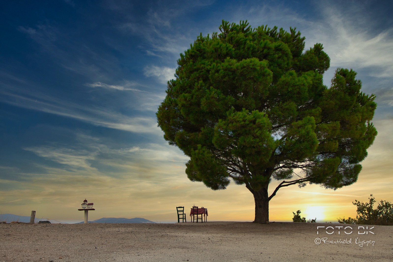 Baum / Sonnenunergang