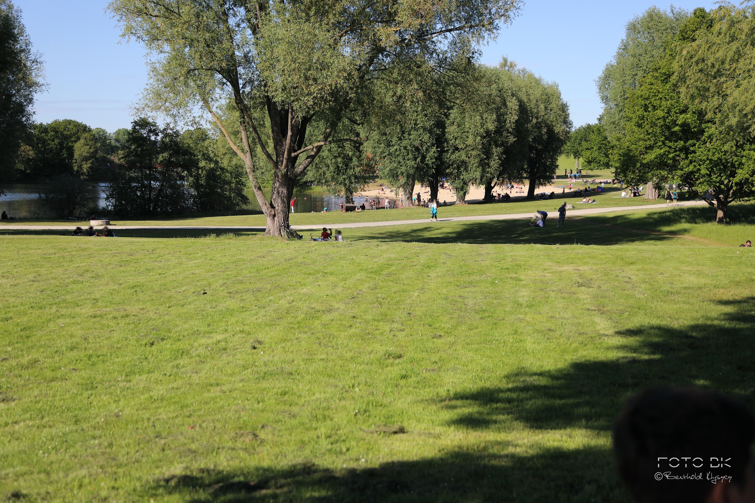 Naturschutzgebiet Fulda-Aue / Kassel