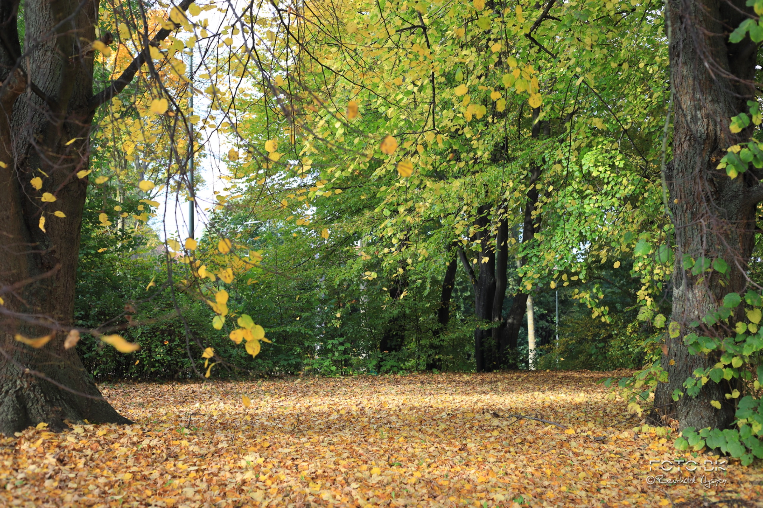 Herbst 2024 - Kassel