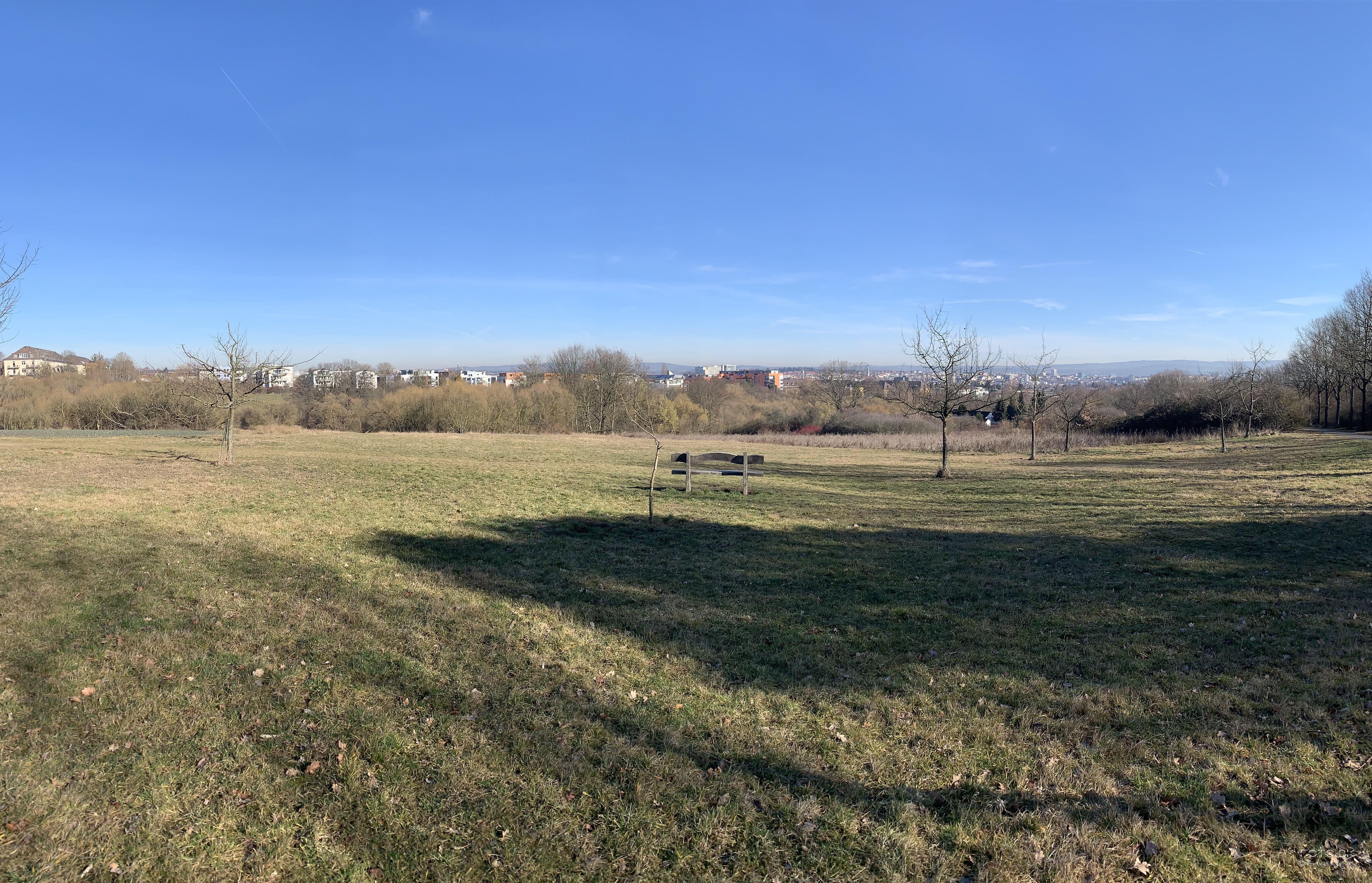 Blick auf die Marbachshöhe